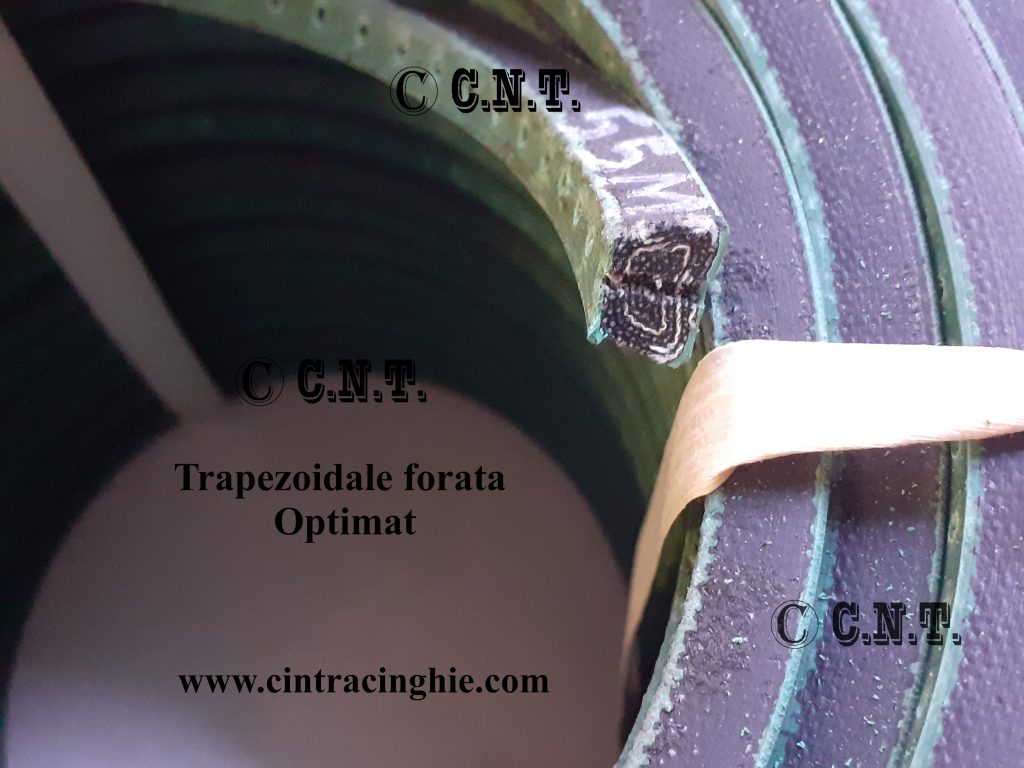 Cinghia trapezoidale 10 X 540 Li Z21 1/4